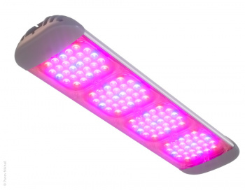 Визуализация led-светильника ECOLED Fito